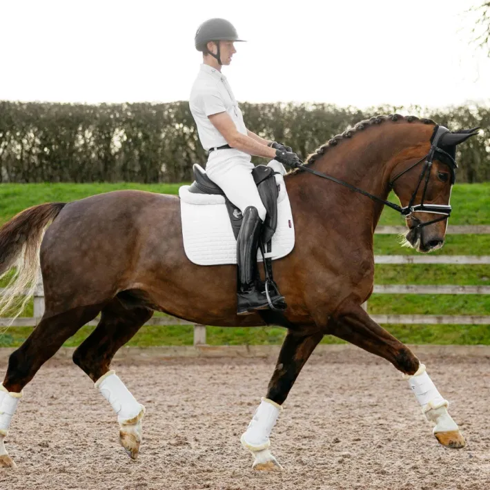 LeMieux Suede Dressage Square
